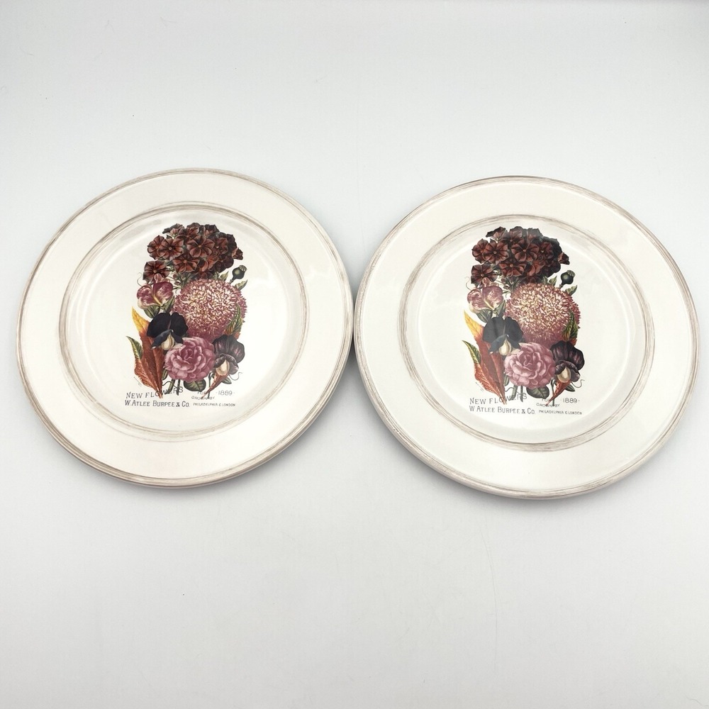 Cracker‎ Barrel Garden Seeds New Flowers 1889 8" Plates Set of 2 Burpees Floral